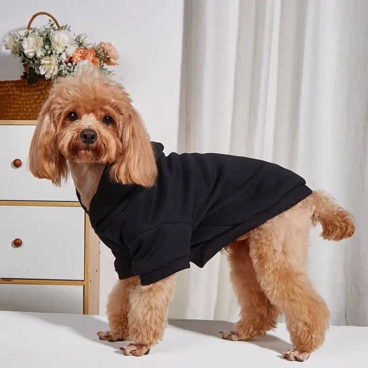 Black Dog Sweater - pulzdog