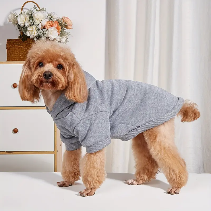 Modern Gray Dog Sweater - pulzdog