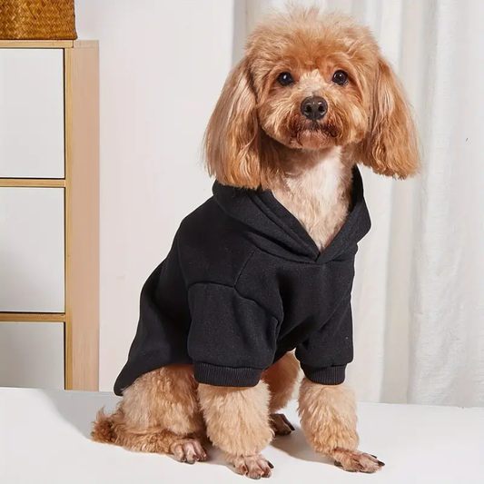 Black Dog Sweater - pulzdog