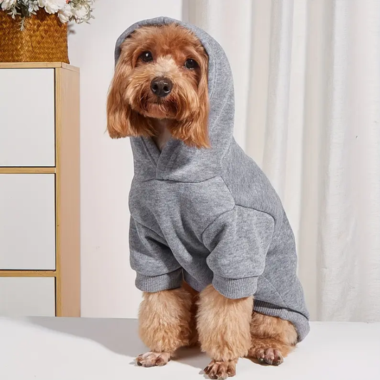 Modern Gray Dog Sweater - pulzdog